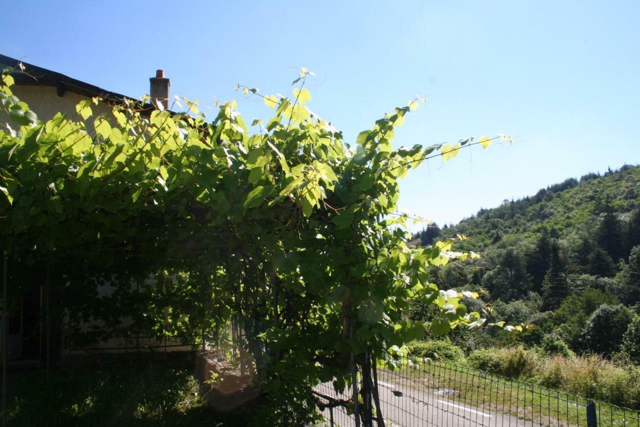 La Cance Hotel Annonay Esterno foto